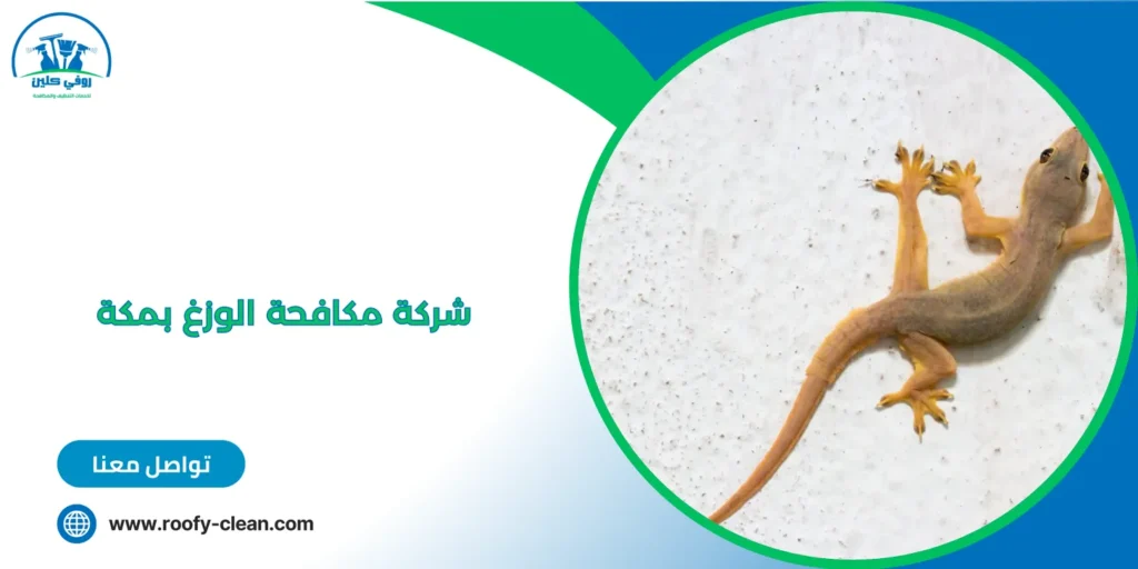 شركة مكافحة الوزغ بمكة